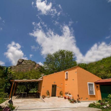 B&B Casa Vacanze Benvenuti Al Sud Aiello Calabro Luaran gambar